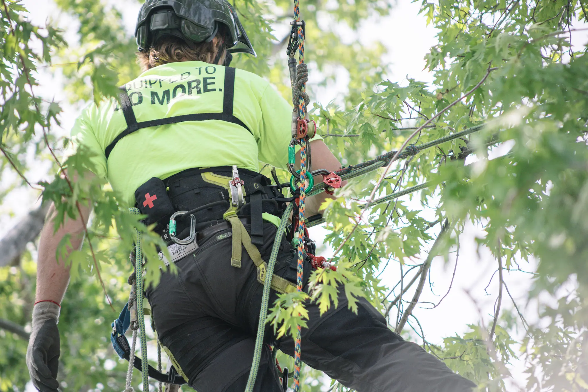Copper Top Tree Care - About Us